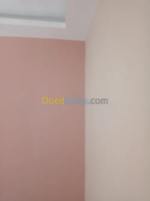 peintre qualifier 