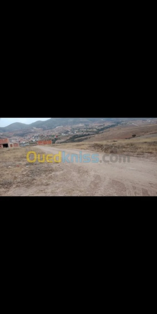 Vente Terrain Tlemcen Souk tlata