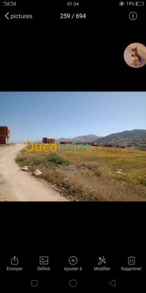 Vente Terrain Tlemcen Souk tlata