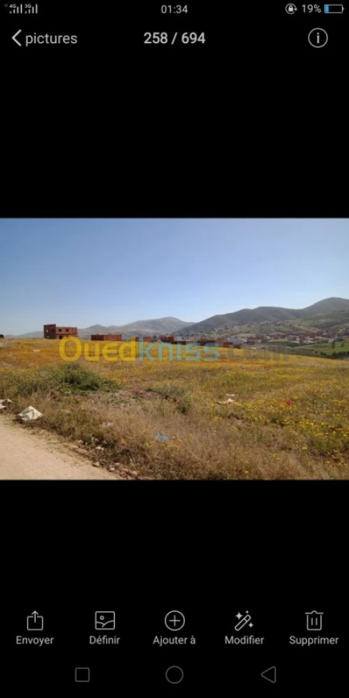 Vente Terrain Tlemcen Souk tlata