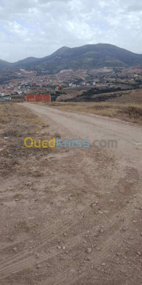 Vente Terrain Tlemcen Souk tlata