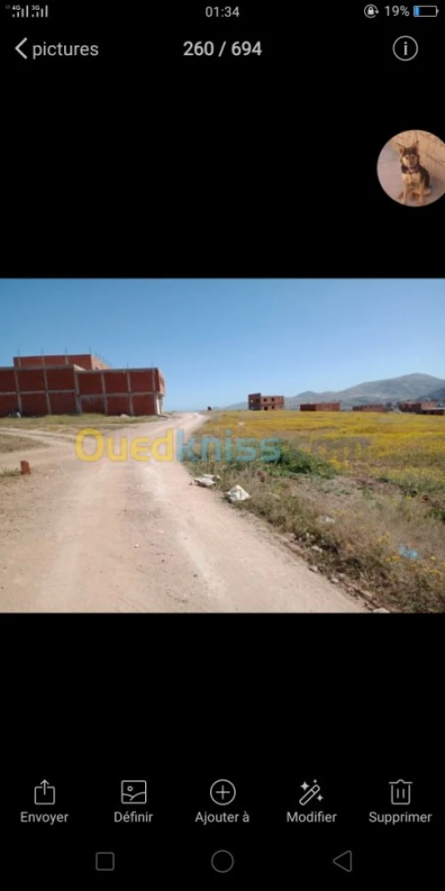 Vente Terrain Tlemcen Souk tlata