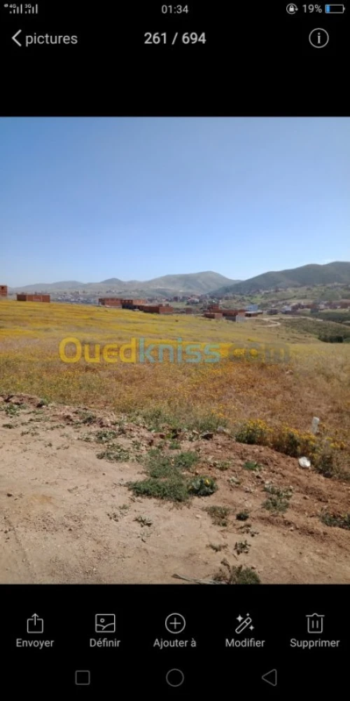 Vente Terrain Tlemcen Souk tlata