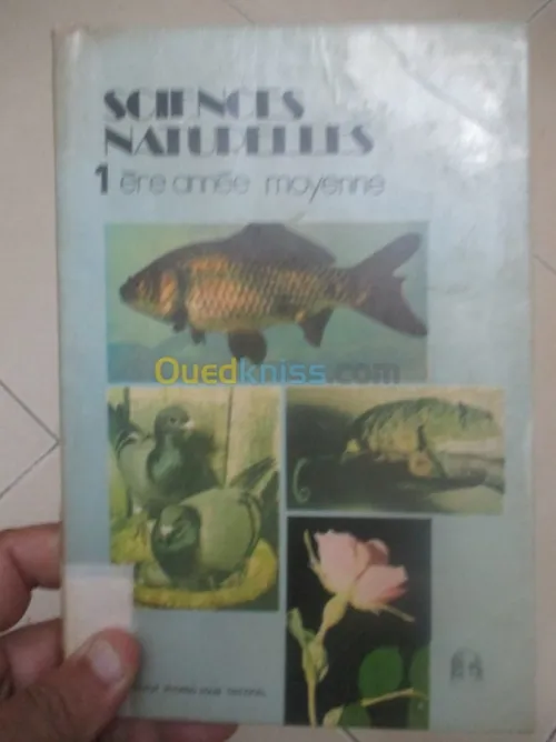 livre scolaire ancien/ كتب دراسيةقديمة