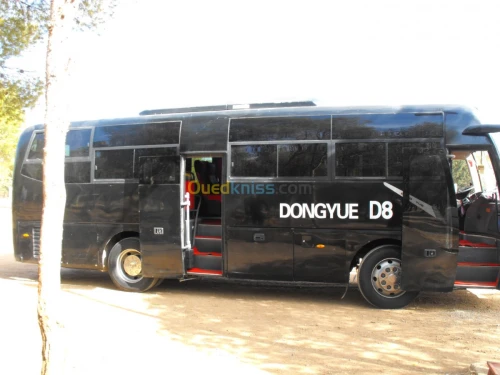 DONGYUE D8 DONGYUE D8