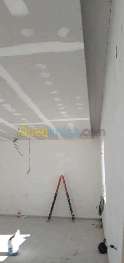 Placoplatre & décoration BA 13 BA10