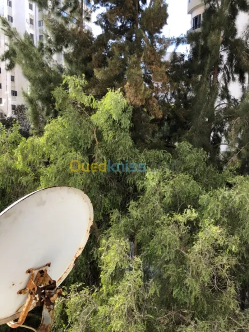 Vente Appartement F4 Alger El achour