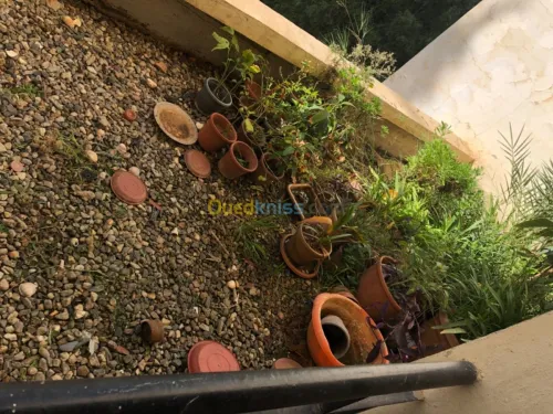 Vente Appartement F4 Alger El achour