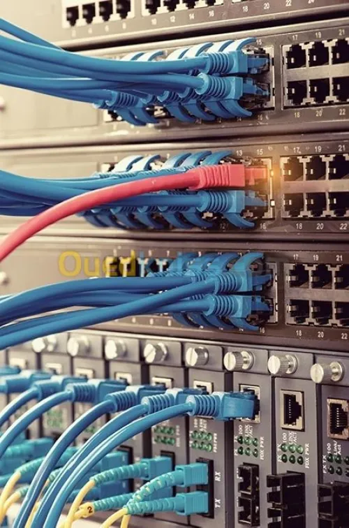 Installation réseau et Courant faible