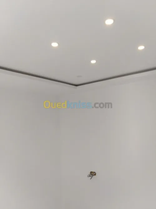 Placoplatre & décoration BA 13 BA10
