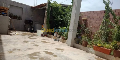 Vente Niveau De Villa Tlemcen Mansourah