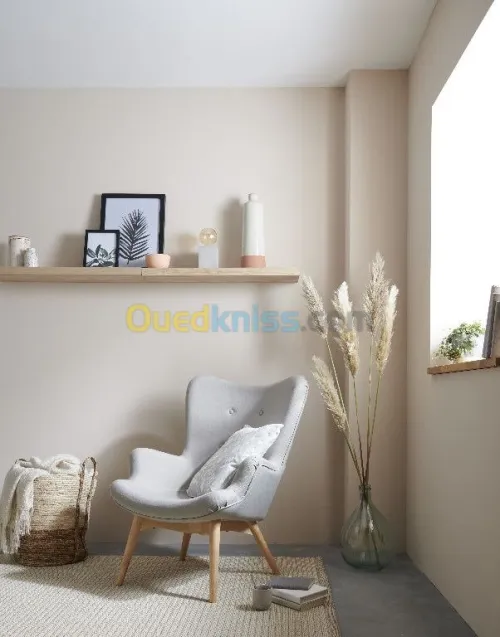 PEINTURE AADL  LPA  Logts -PROMOTIONEL