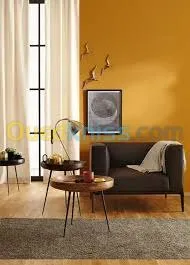 PEINTURE AADL  LPA  Logts -PROMOTIONEL