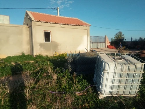 Vente Terrain Agricole Medea Bouchrahil