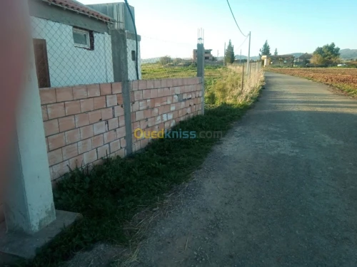 Vente Terrain Agricole Medea Bouchrahil