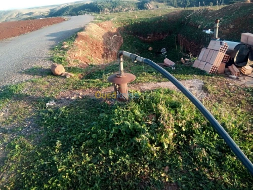 Vente Terrain Agricole Medea Bouchrahil