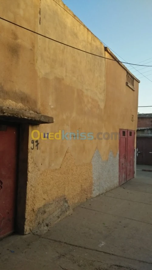 Vente Villa Chlef Bouzeghaia