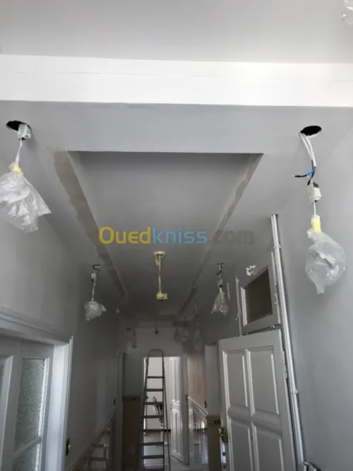 Decoration placo