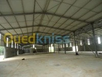 Vente Hangar Tizi ouzou Tizi ouzou