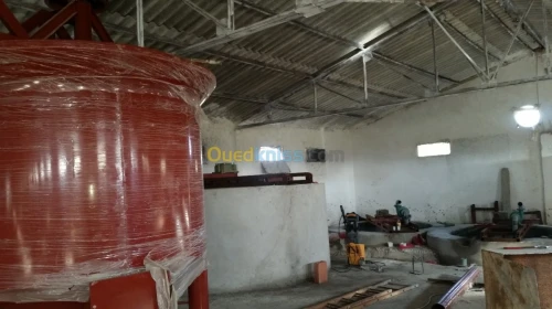 Ligne fabrication plateaux d'oeuf alvé