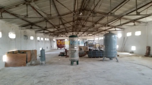 Ligne fabrication plateaux d'oeuf alvé