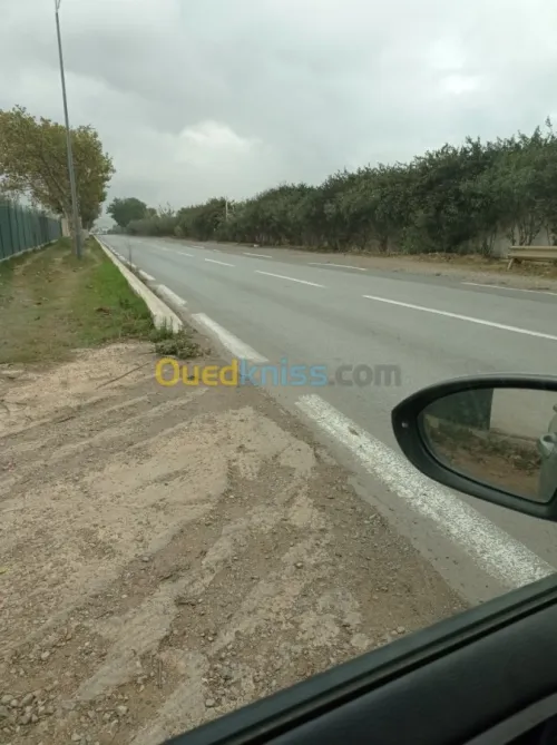 Location Hangar Alger Zeralda