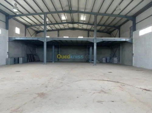 Location Hangar Alger Zeralda