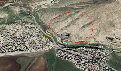 Location Terrain Constantine Ouled rahmoune
