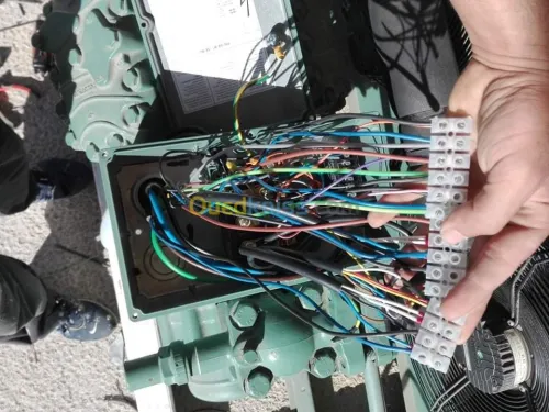 Électricien général 