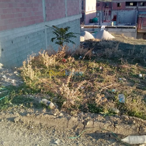 Vente Terrain Constantine Constantine