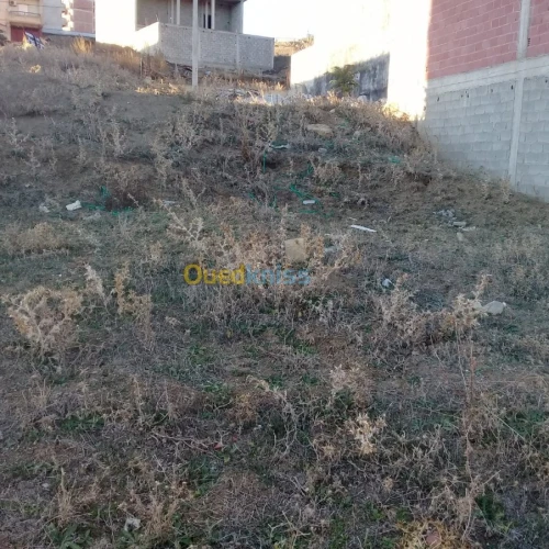 Vente Terrain Constantine Constantine