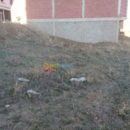 Vente Terrain Constantine Constantine