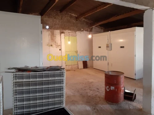  fabrication couvoir (1050 --- 19200)