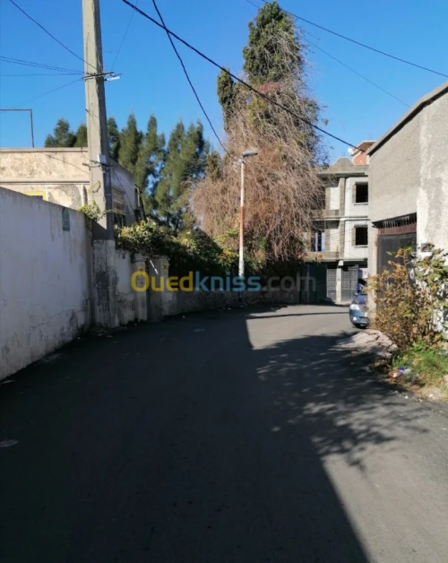 Vente Villa Alger El biar