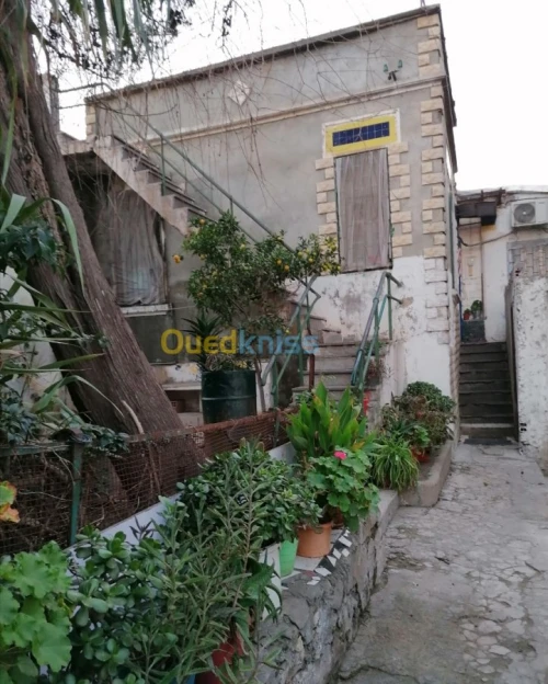 Vente Villa Alger El biar