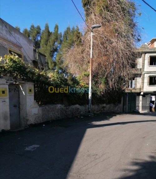 Vente Villa Alger El biar