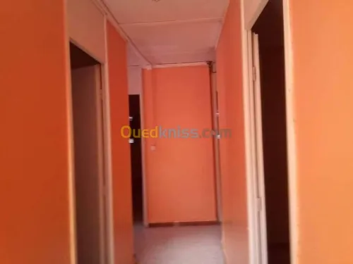 Vente Bungalow Chlef Chlef