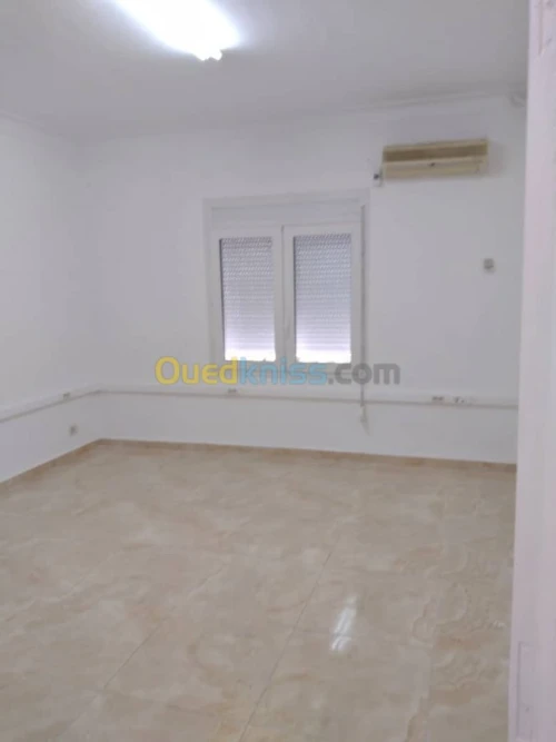 Location Villa Alger Hydra