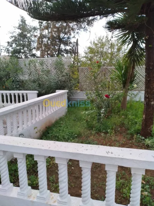 Location Villa Alger Hydra