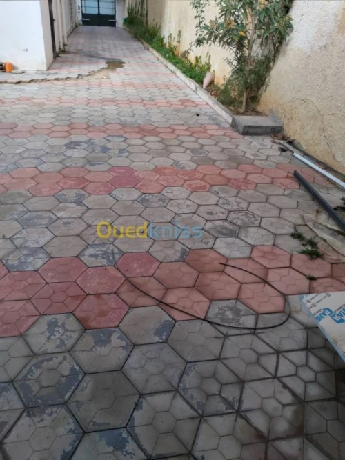 Location Villa Alger Hydra