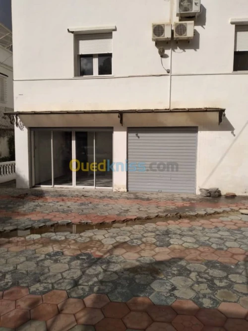 Location Villa Alger Hydra