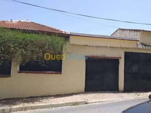 Vente Villa Alger El biar