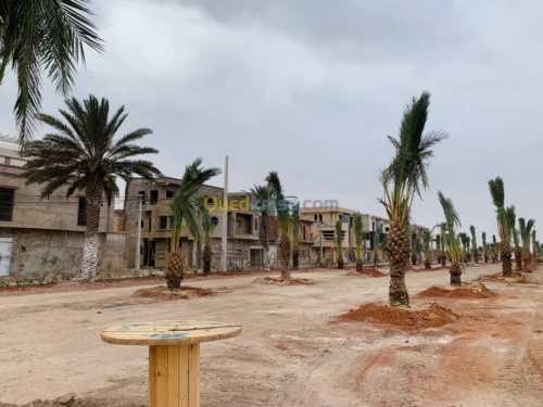 Vente Terrain Oran Es senia