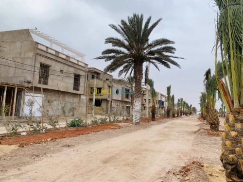 Vente Terrain Oran Es senia