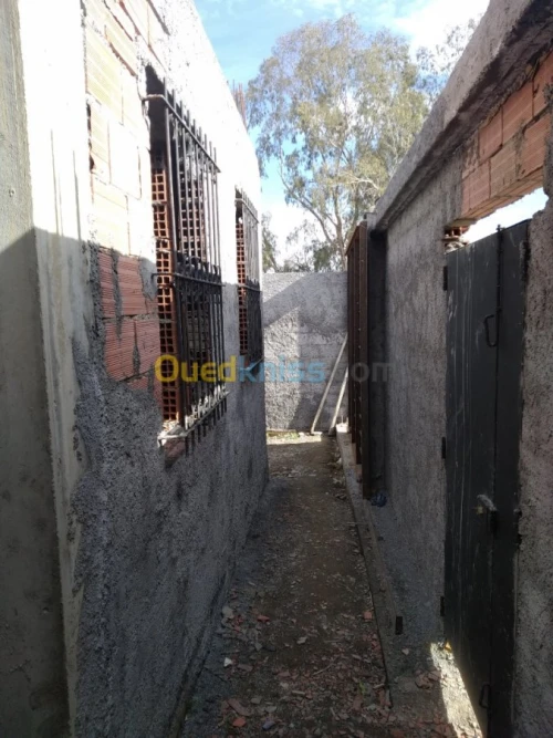 Vente Carcasse Blida Guerrouaou