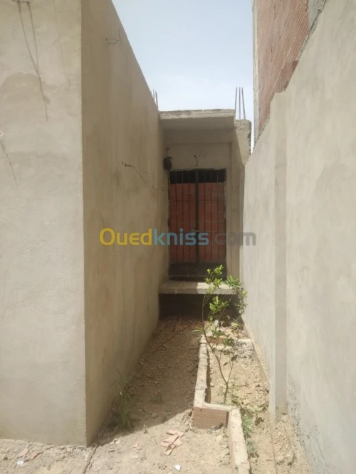 Vente Carcasse Blida Guerrouaou