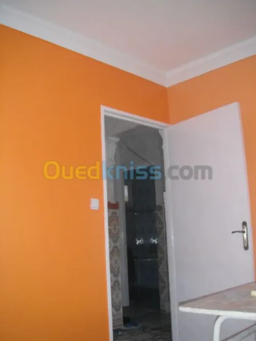 peintre en dÃ©cor