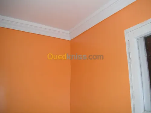 peintre en dÃ©cor