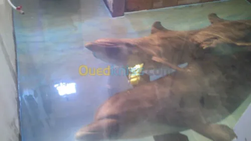 conception de design et amenagement 