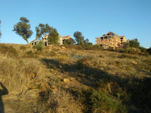 Vente Terrain Tizi ouzou Azazga